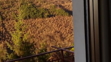 Ausblick vom Zimmer