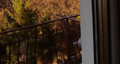 Hotel Ristorante La Pineta