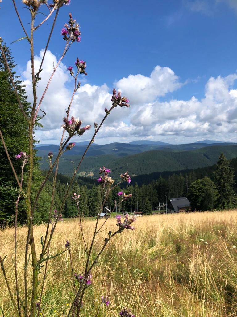 A natural landscape with a clear sky, a mountain range in the background, and a house in the distance.