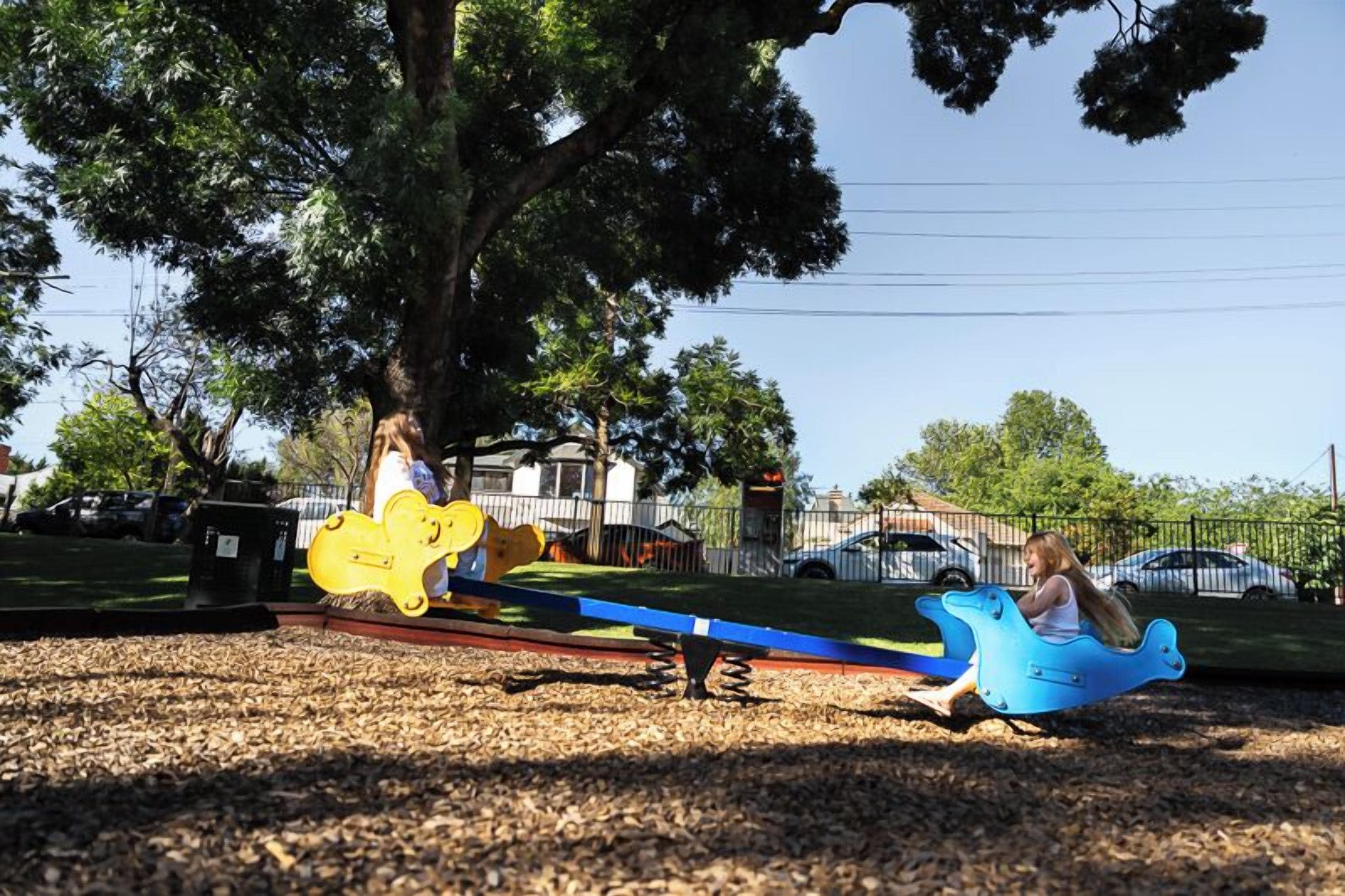 A playground with seesaws and a tree in the background.