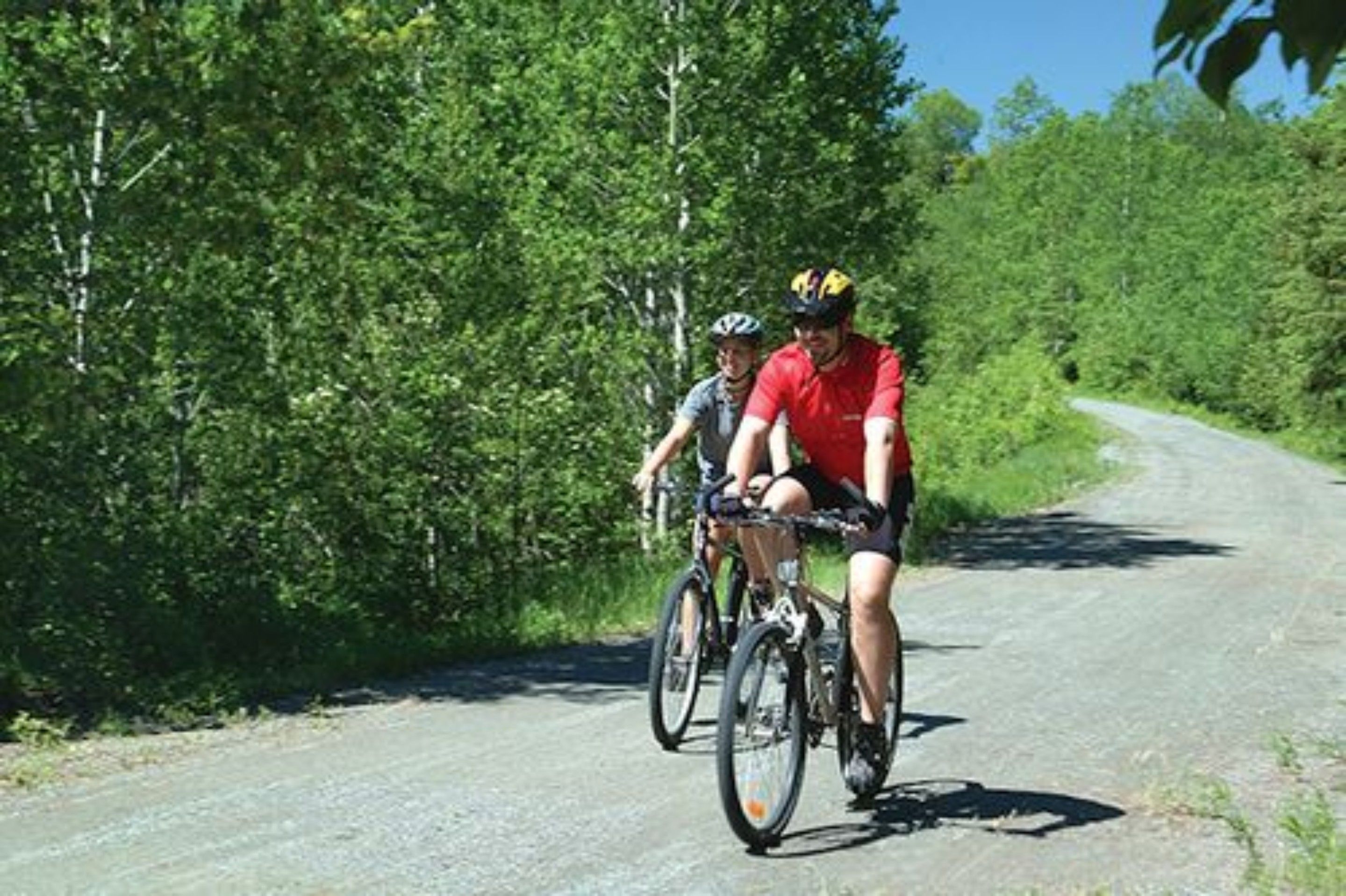 Dos ciclistas en una carretera pavimentada rodeados de vegetación densa.
