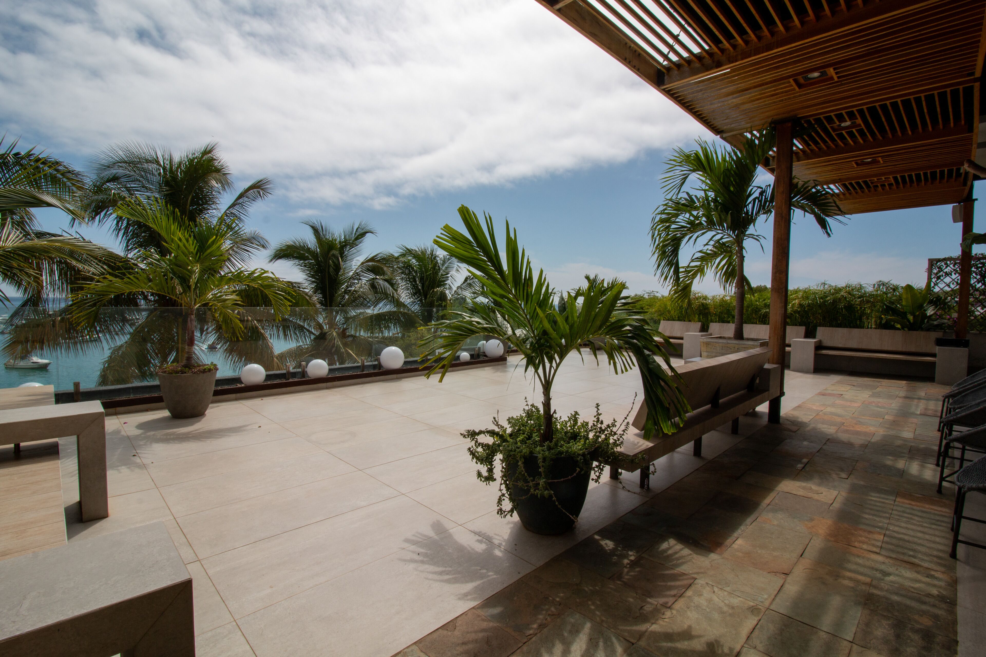 A rooftop terrace with palm trees, a pool, and a wooden pergola.