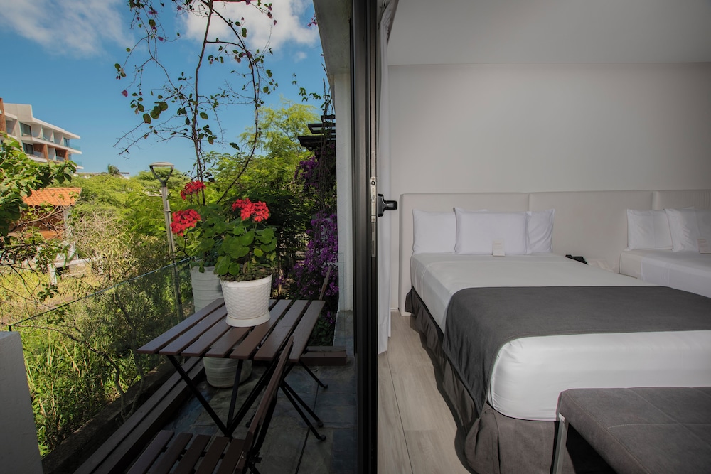 Golden Bay Galapagos by null