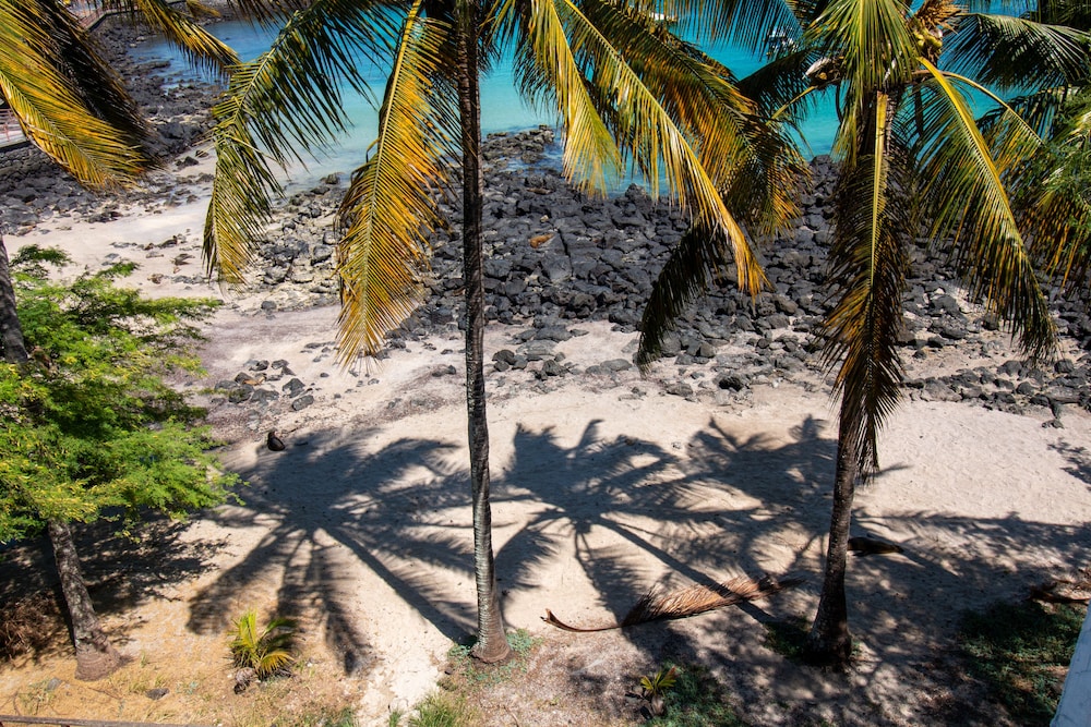 Golden Bay Galapagos by null