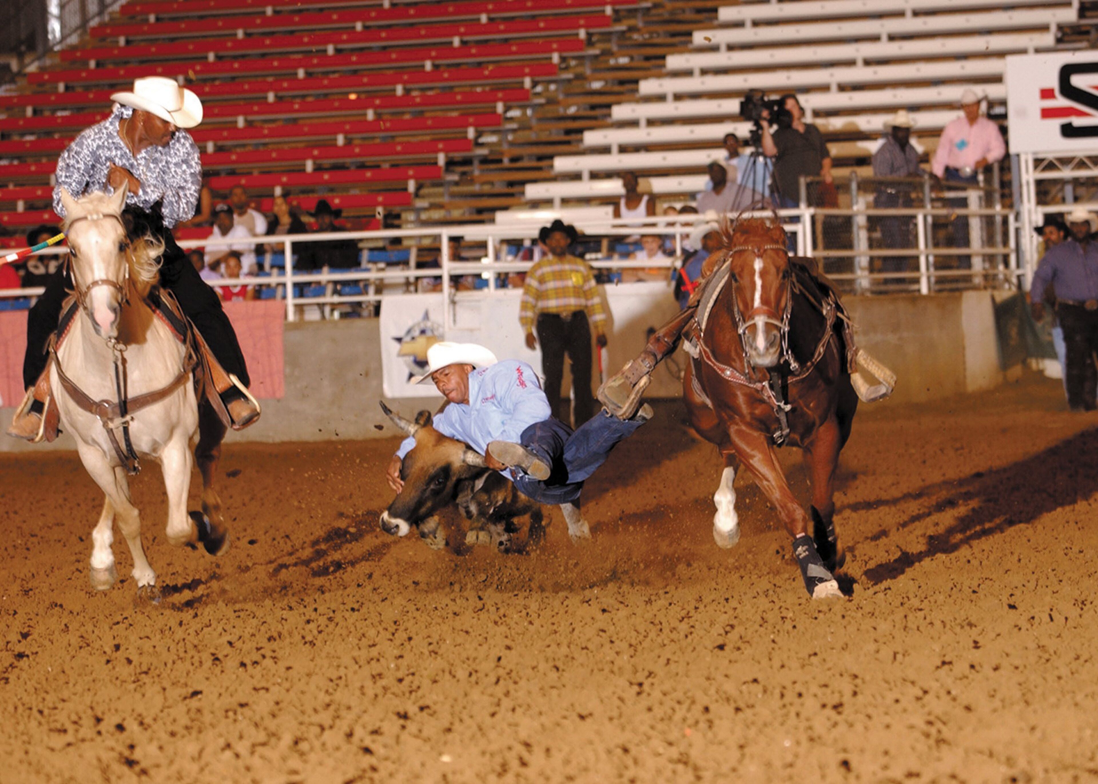 A rodeo event with a cowboy on horseback and a calf on the ground.