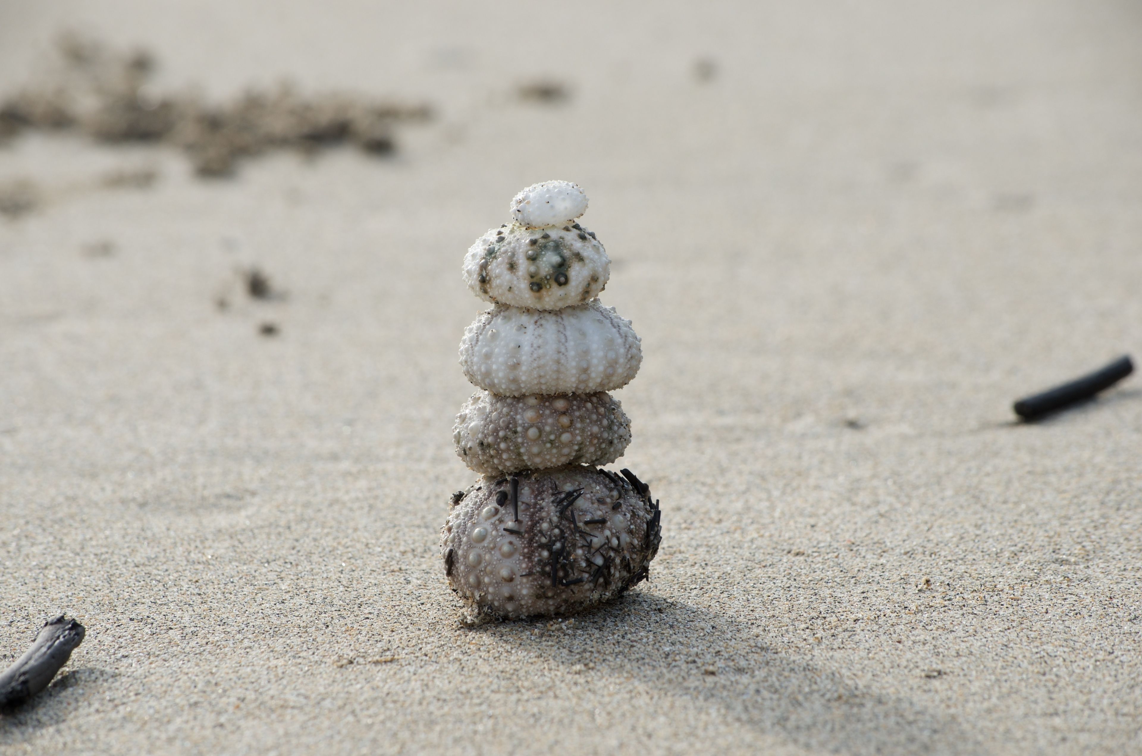 A stack of smooth, rounded stones on a sandy beach.