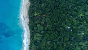 Vue aérienne d’une plage bordée d’une forêt dense d’un côté et d’une côte sablonneuse de l’autre.