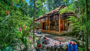 Une maison en bois au style rustique, entourée d’une végétation luxuriante et de plantes tropicales.