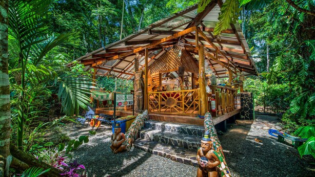 Une structure rustique en bois, entourée d’une végétation luxuriante, avec un sentier de pierres menant à l’entrée.