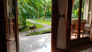 A view through a glass door of a room with a wooden chair and a small table, a tiled floor, and a garden with a pathway and greenery outside.