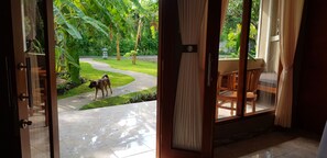 Deluxe Double or Twin Room | In-room safe, free WiFi, bed sheets