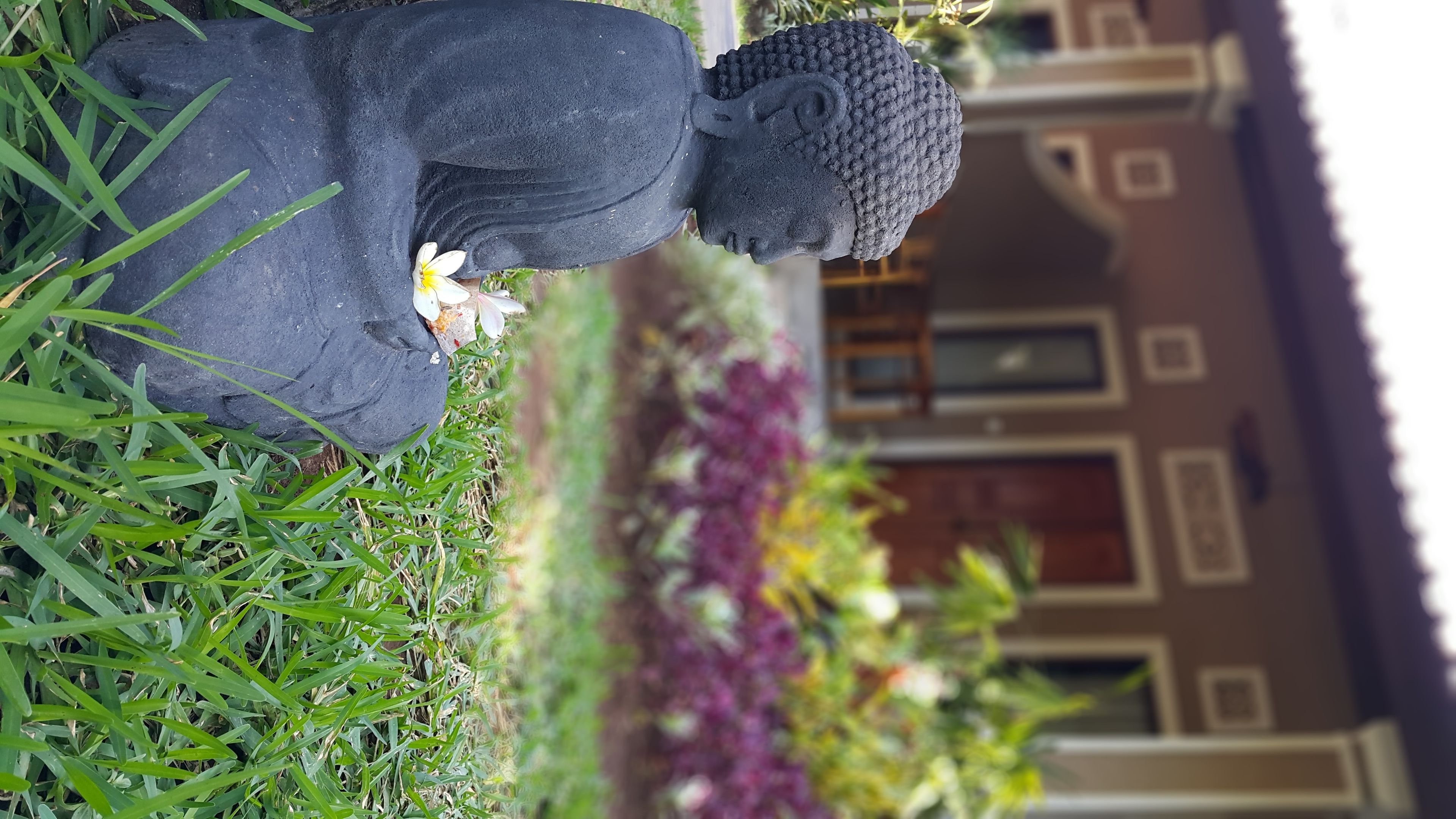 A Buddha statue in a garden with a building in the background.