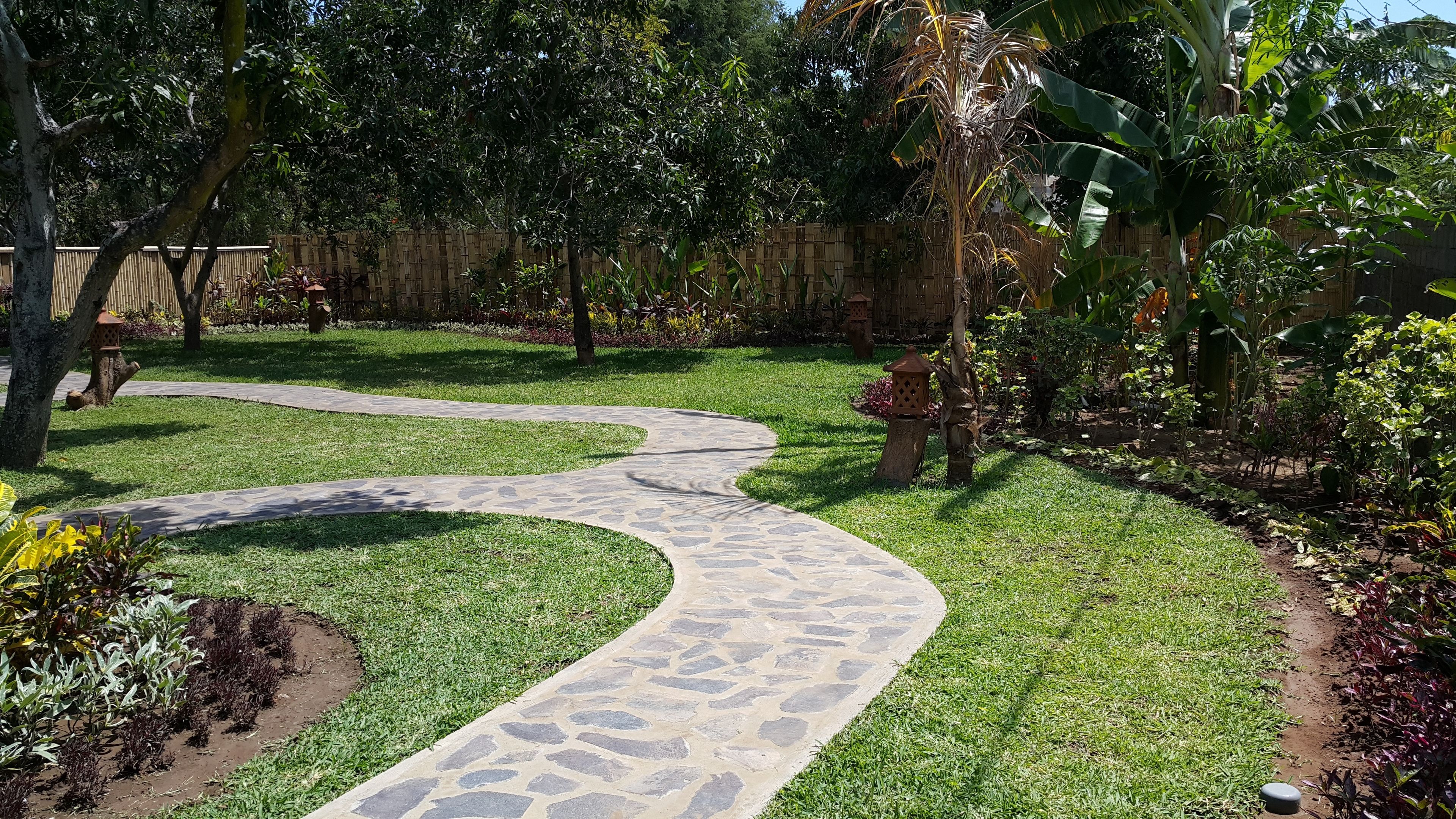 A garden with a winding stone pathway, lush greenery, and a bamboo fence.