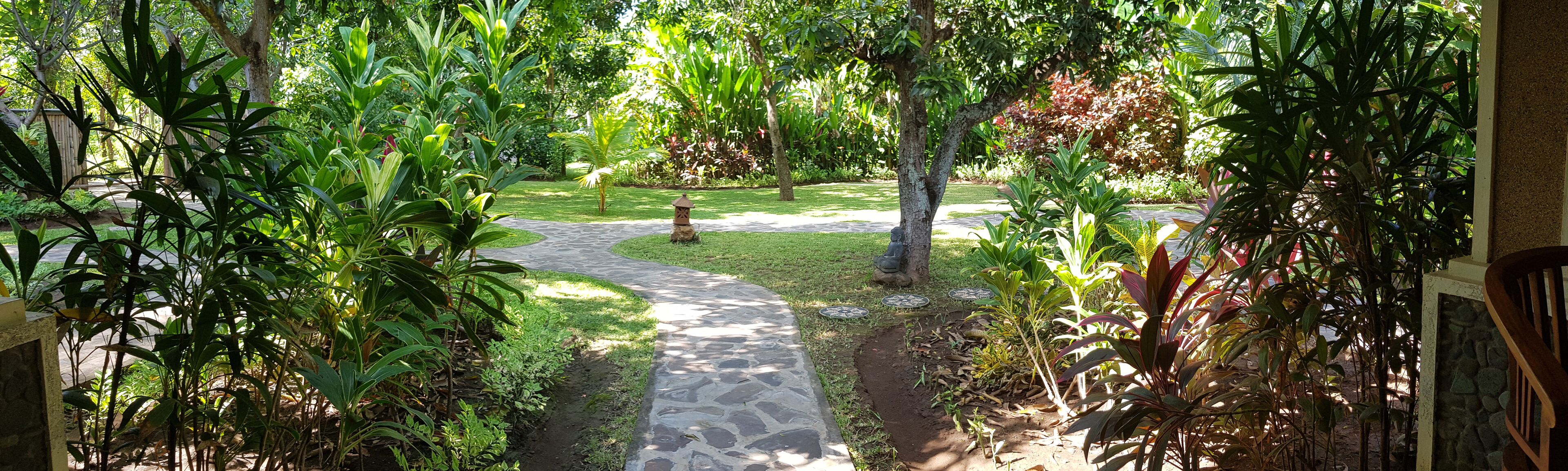 Ein gepflasterter Weg schlängelt sich durch einen üppigen Garten mit verschiedenen Pflanzen und Bäumen.