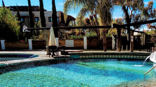 A clear swimming pool with a tiled edge, surrounded by palm trees and a stone wall.