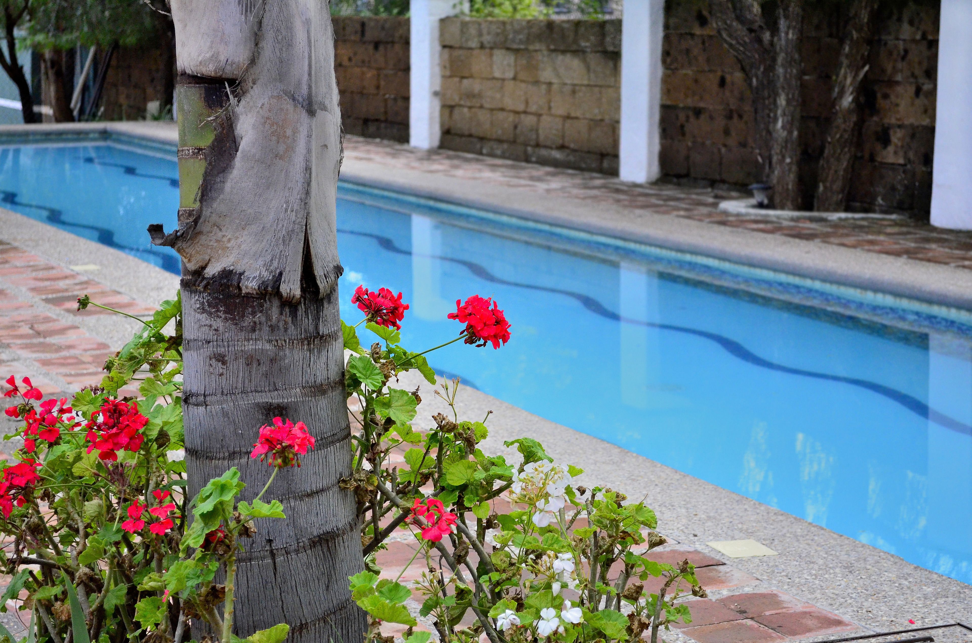 2 outdoor pools, pool loungers