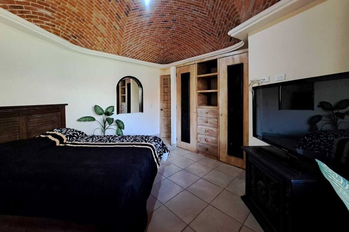 A bedroom with a brick ceiling, a bed with a patterned bedspread, a television, and a plant.