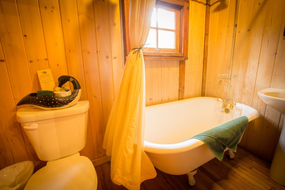 Storm Mountain Lodge & Cabins by null