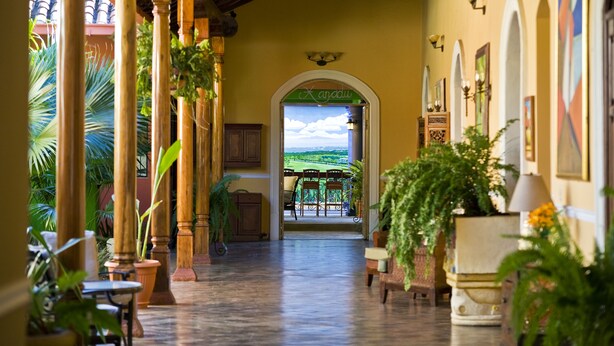 Terrace/patio - Casa Xanadu (Granada)