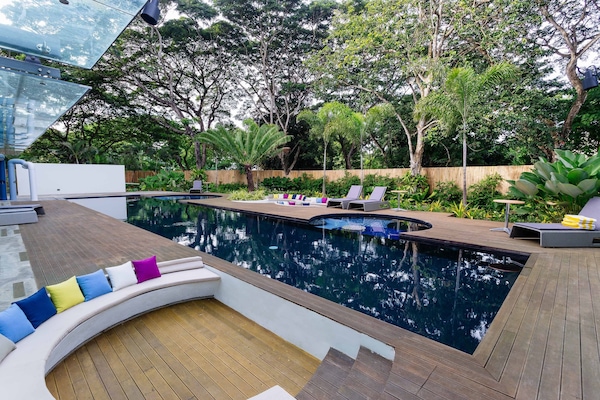 Outdoor pool, sun loungers