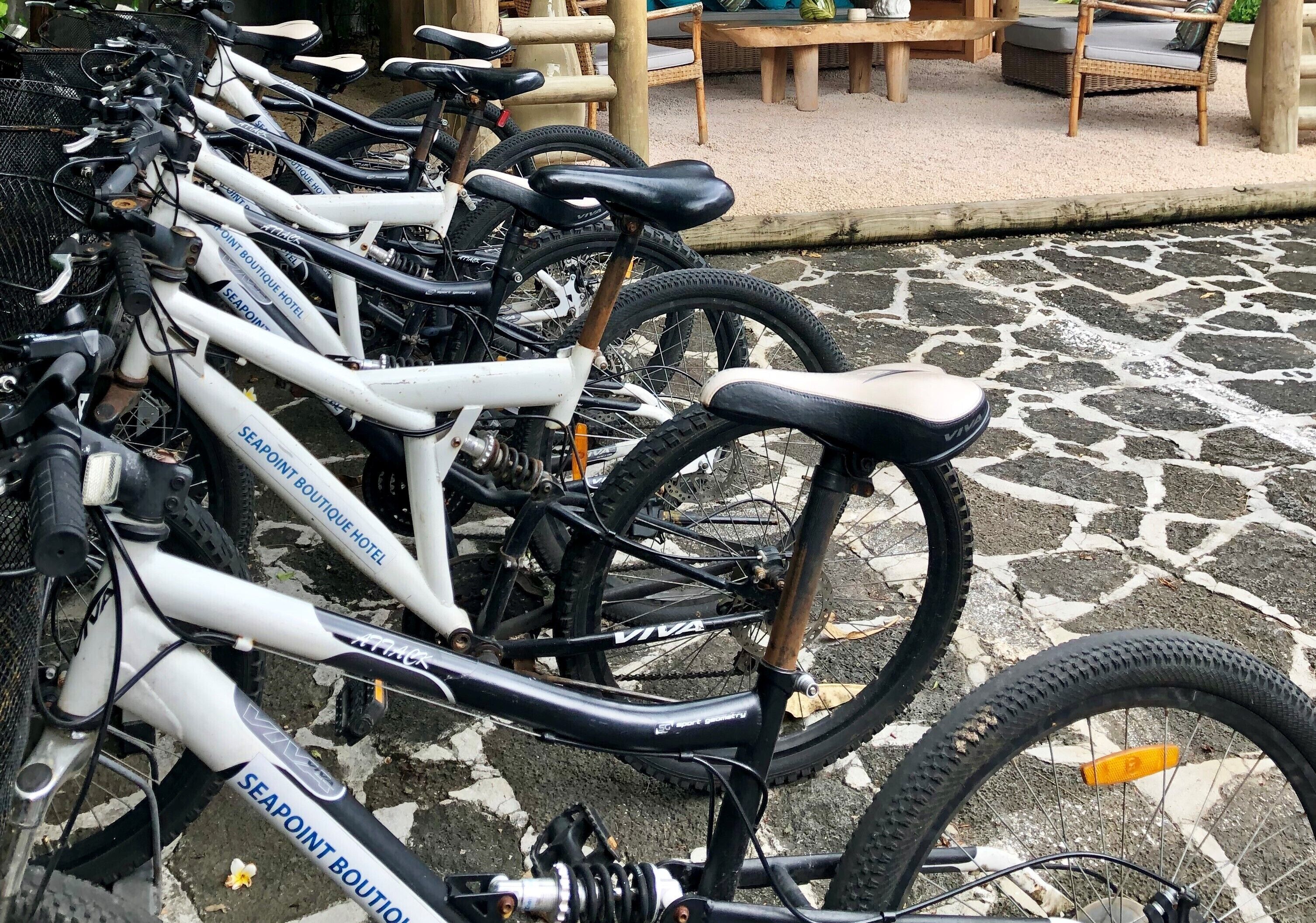 Foto - Seapoint Boutique Hotel