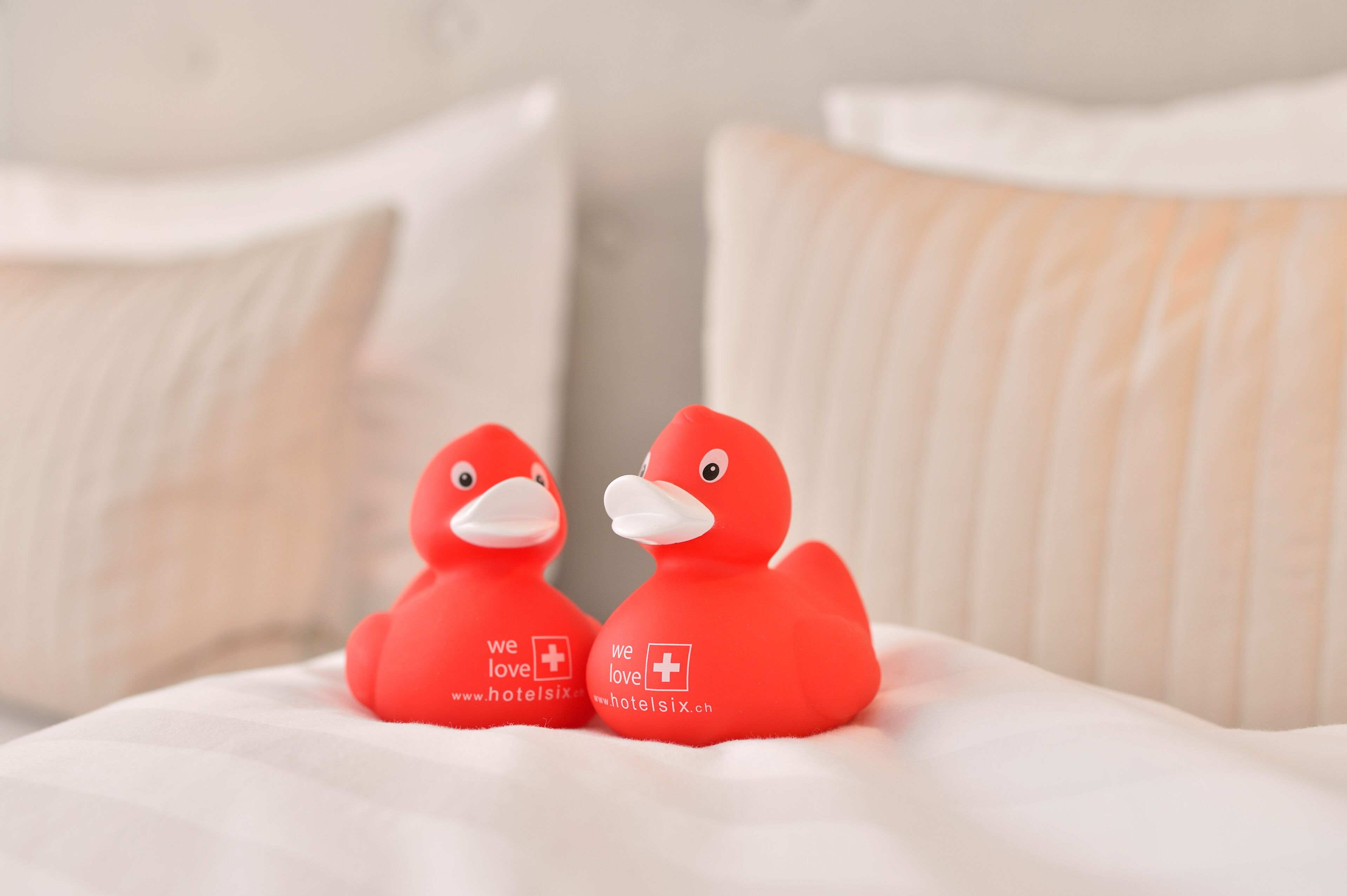 junior suite | room amenity