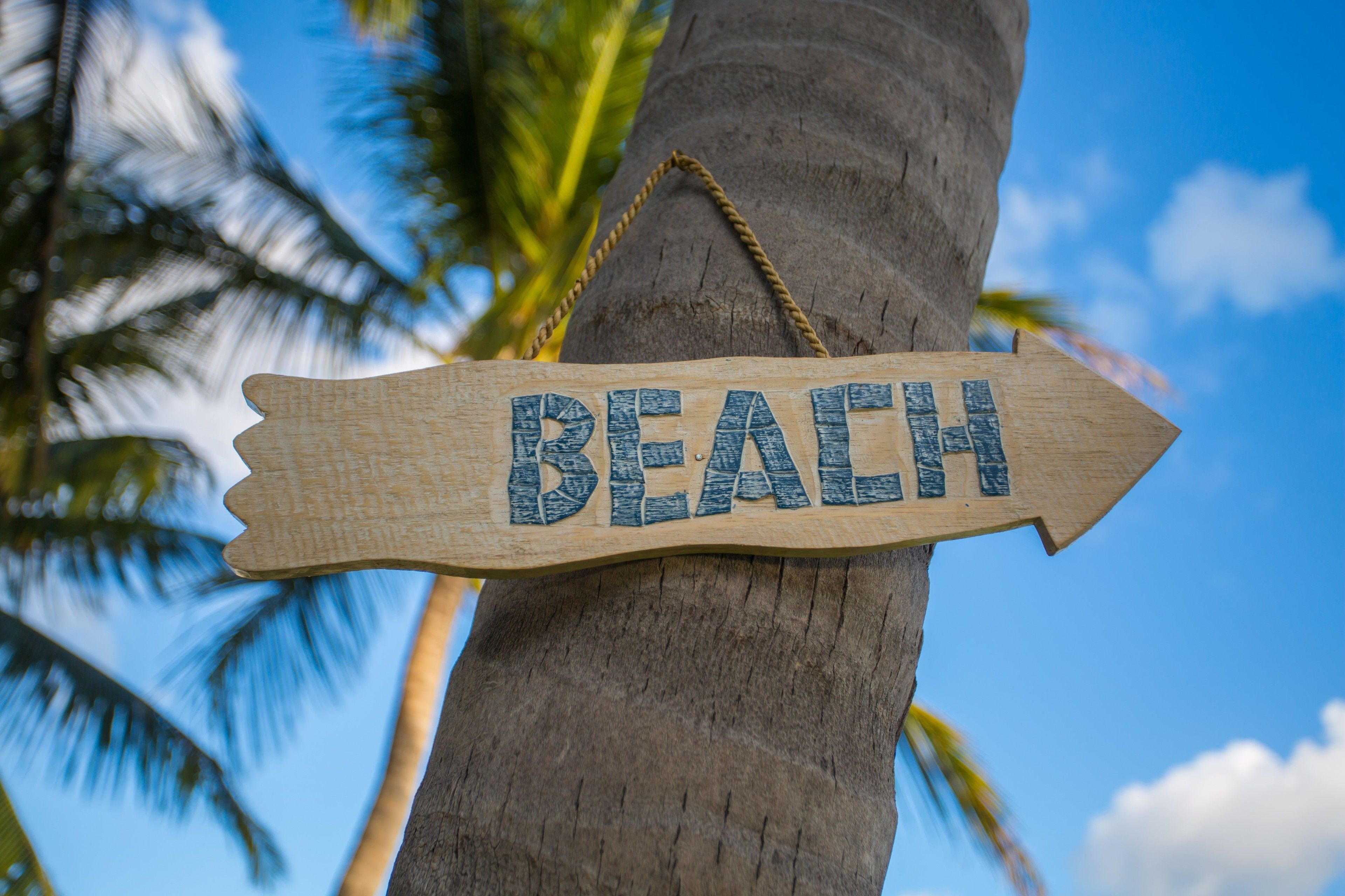 Un letrero de madera con la palabra 'BEACH' sujeto a un tronco de árbol.