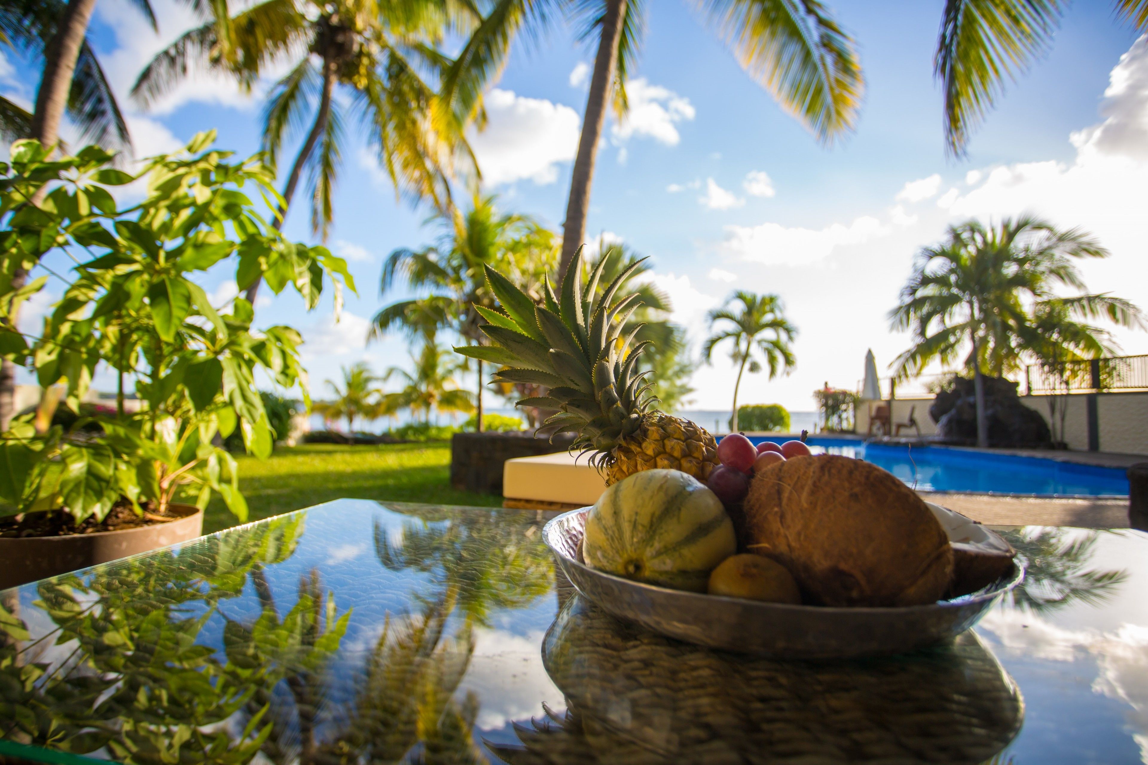 Outdoor pool, pool loungers