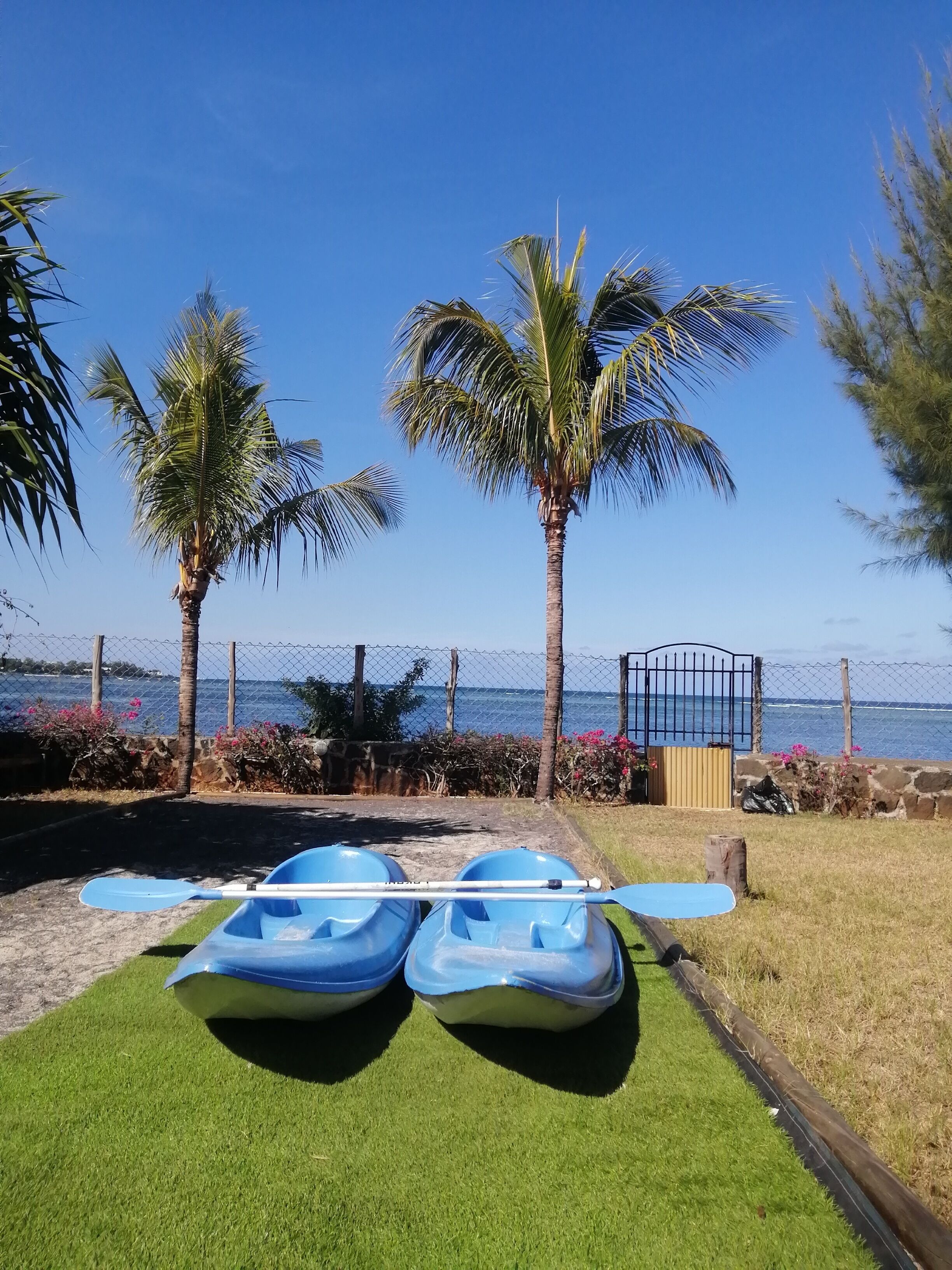Two kayaks on a grassy area with a view of the ocean and palm trees.