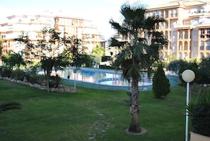 A pool area with a palm tree, surrounded by well-maintained grass and a stone wall.