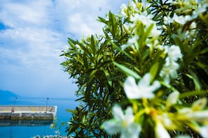 Una playa cerca, sombrillas