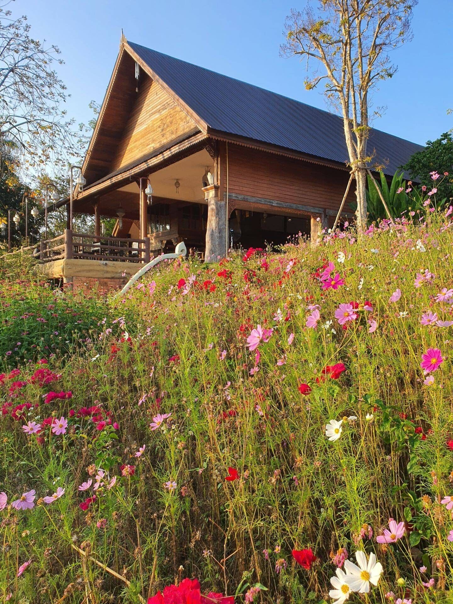 Desayuno continental diario (THB 250 por persona)