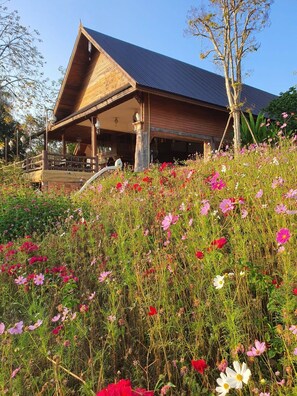 Tägliches kontinentales Frühstück (250 THB pro Person)