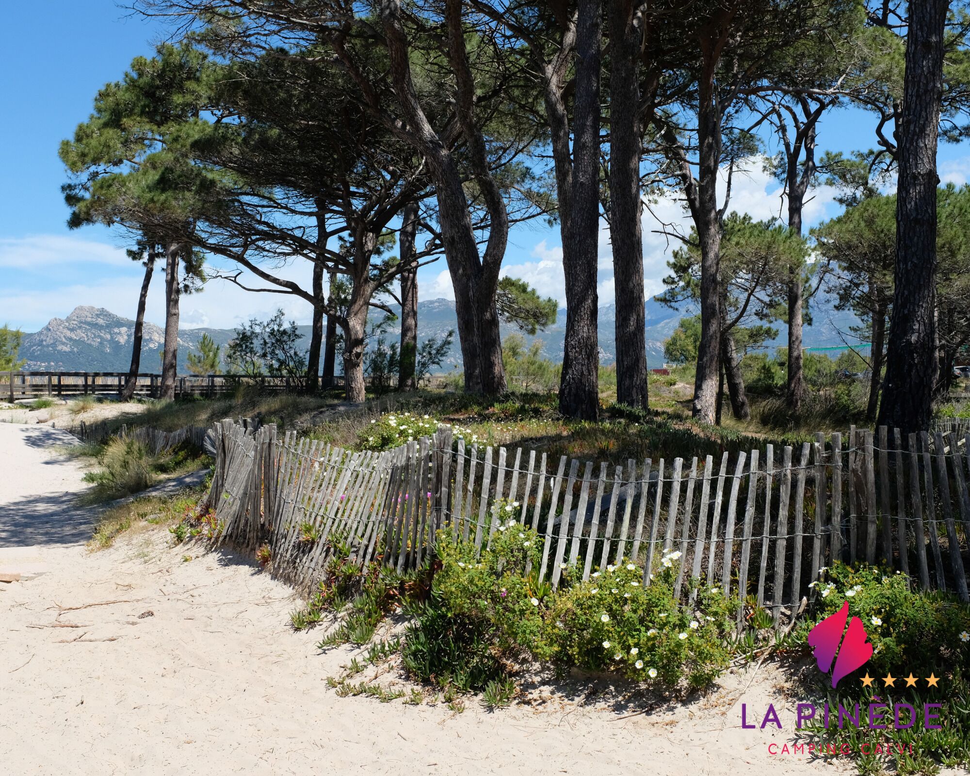Camping La Pinde Reviews, Deals & Photos 2026 - Expedia