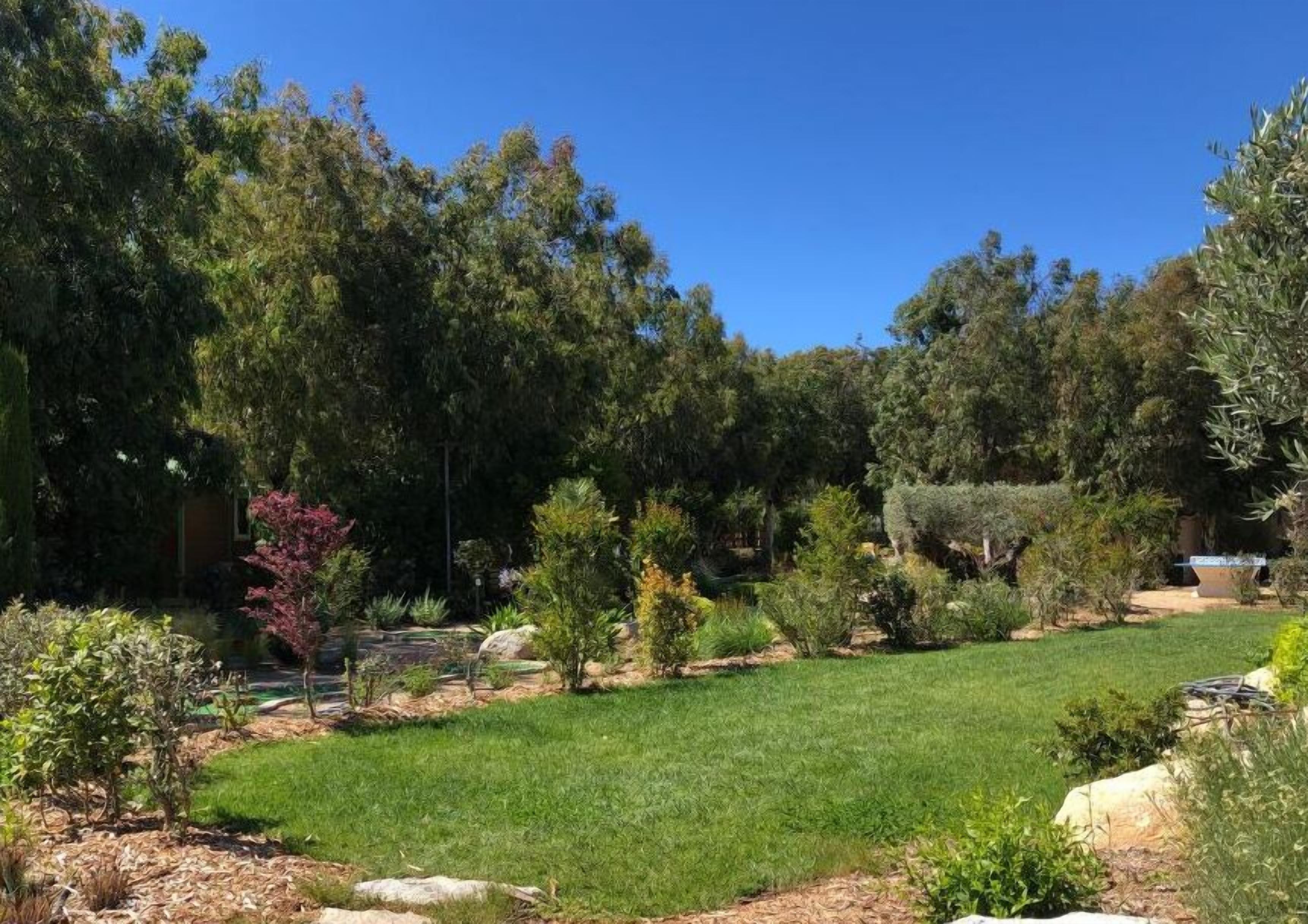 A well-maintained garden with various plants and a lawn.