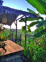 Bungalow Confort | Terraza o patio