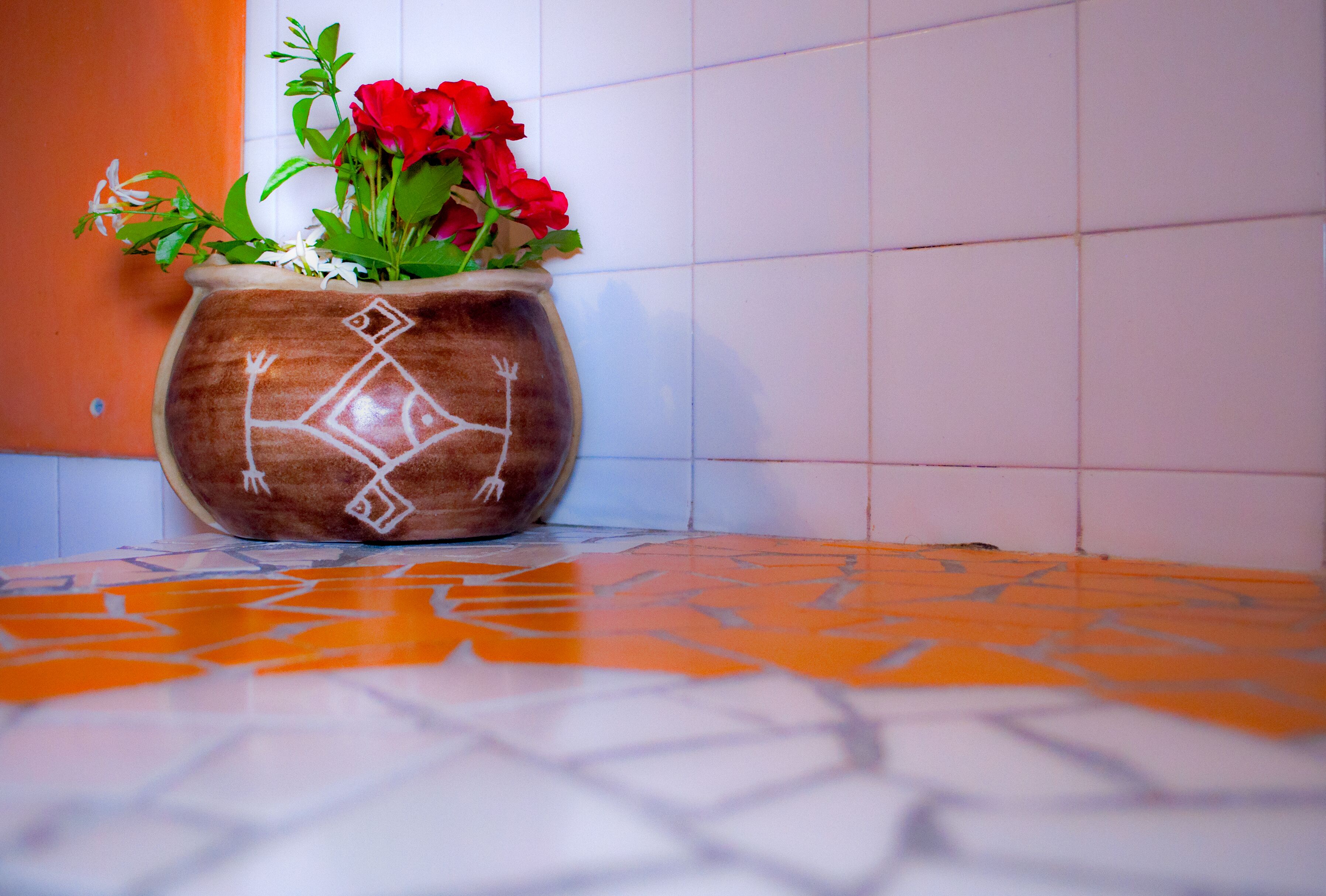 Une plante en pot aux fleurs rouges, posée sur un sol carrelé.