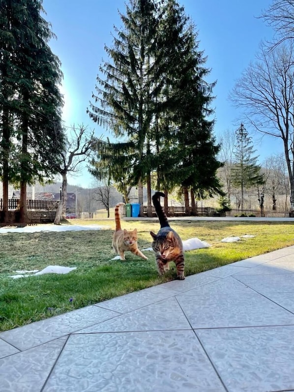 Façade de l’hébergement