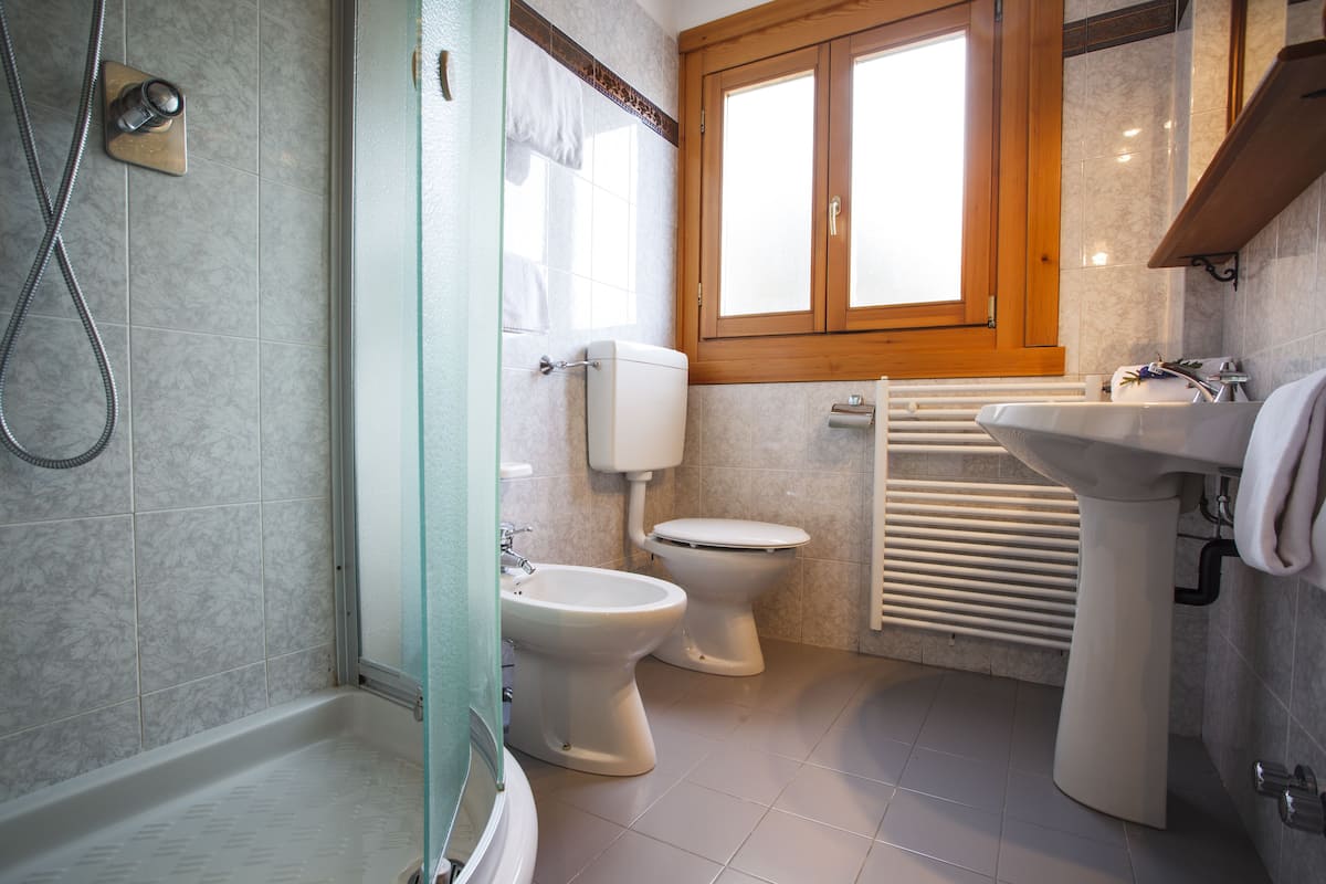 shower, free toiletries, hair dryer, towels