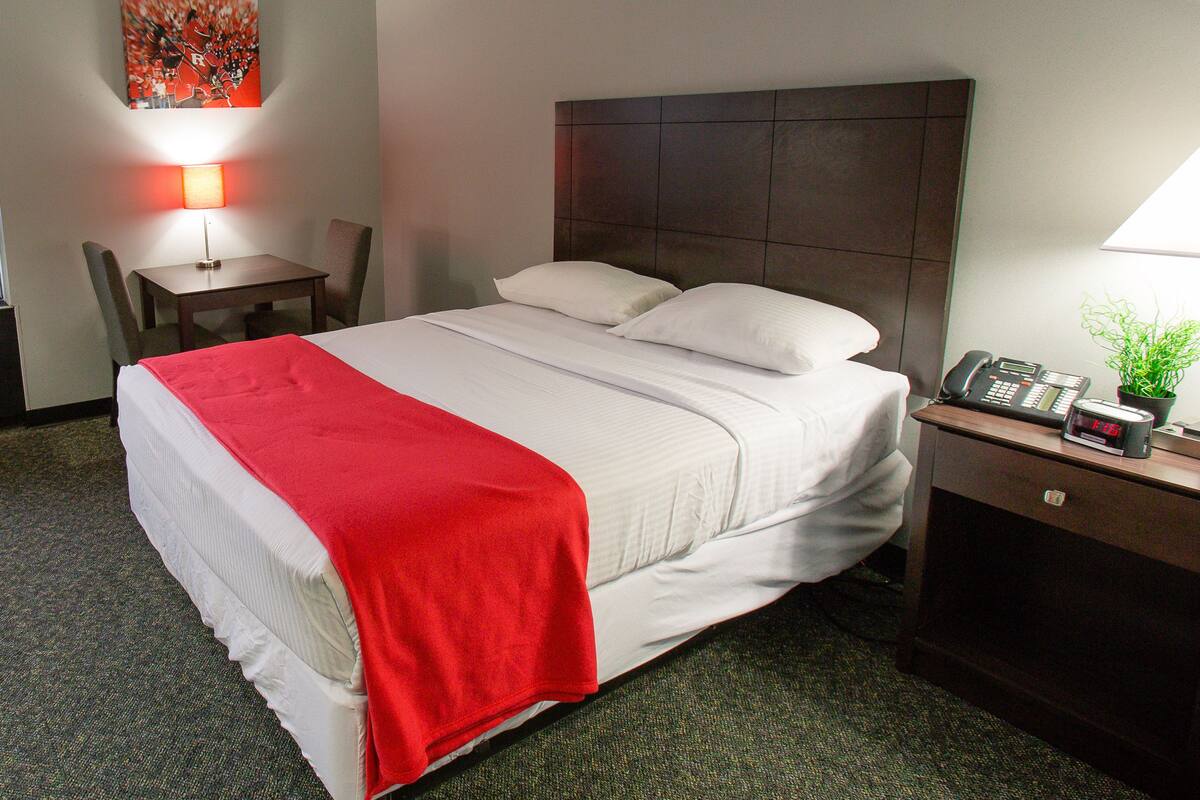 Ein Hotelzimmer mit Bett, Schreibtisch, Stuhl, Lampe, Uhr und Pflanze.