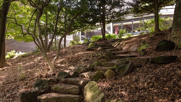 A stone staircase surrounded by trees and a building in the background. - Rutgers University Inn and Conference Center (New Brunswick)