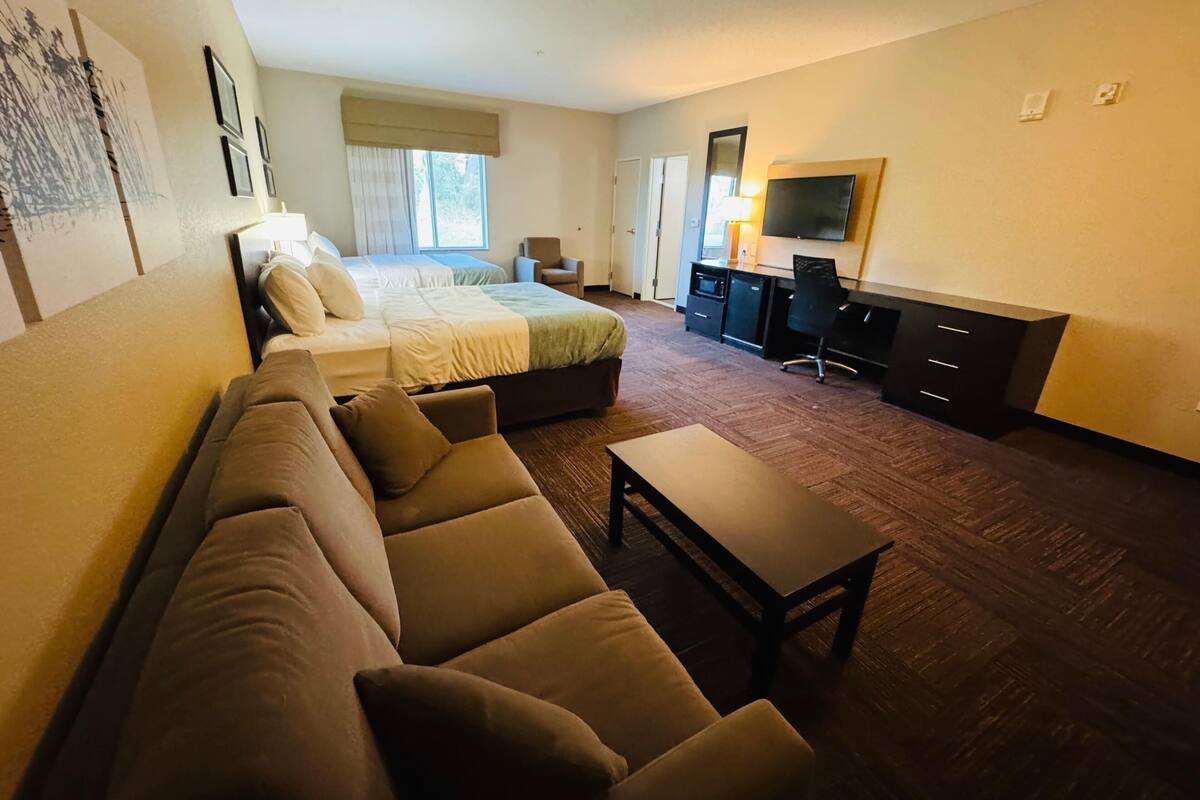 Habitación de hotel con una cama grande, un sofá, un escritorio, un televisor y una ventana con cortinas.