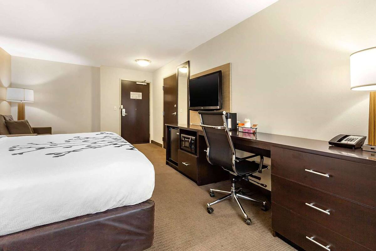 Habitación de hotel con cama, escritorio, silla, televisor y teléfono.