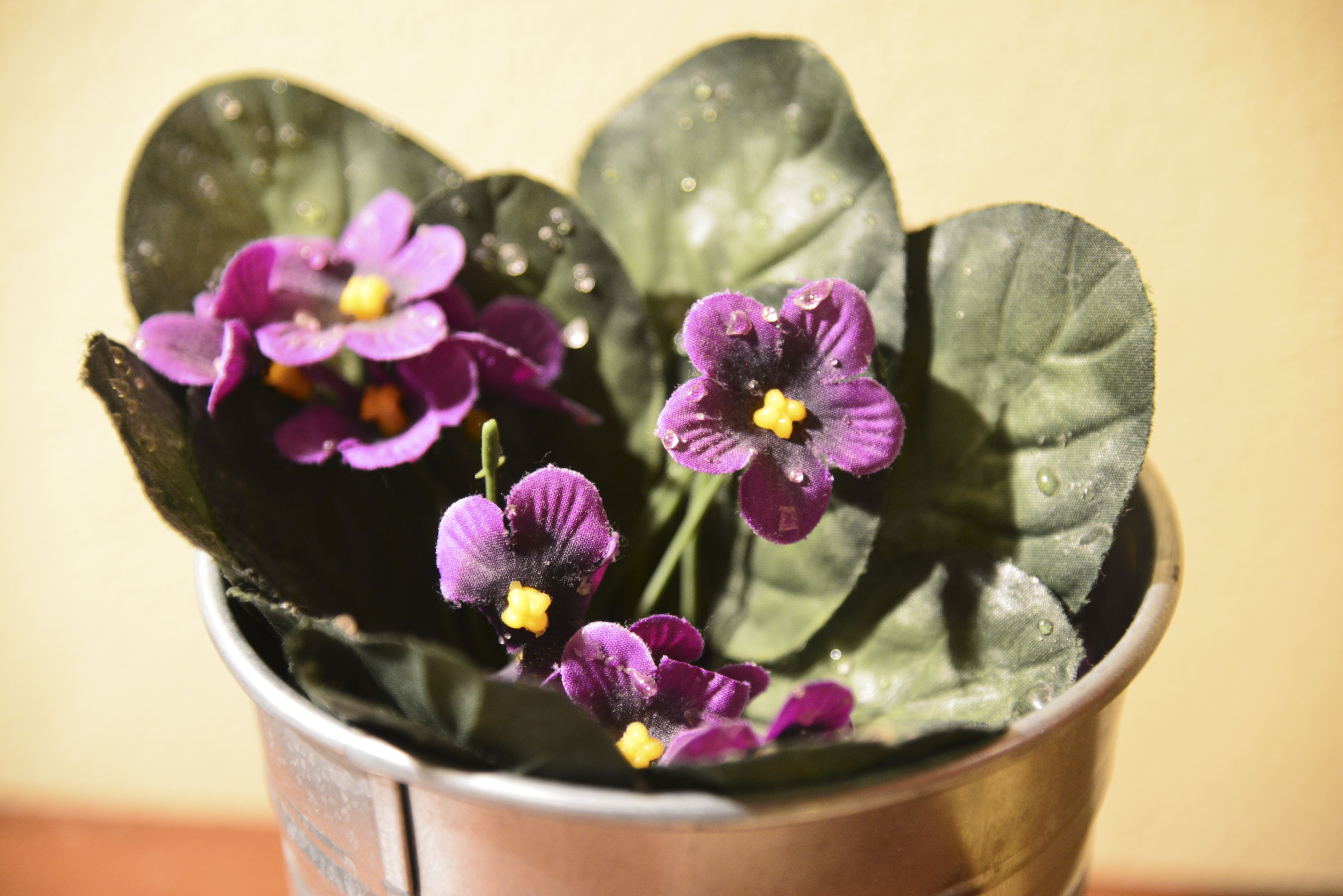 Foto - Casa Di Campagna In Toscana