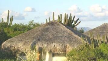 A thatched-roof hut surrounded by cacti and greenery.