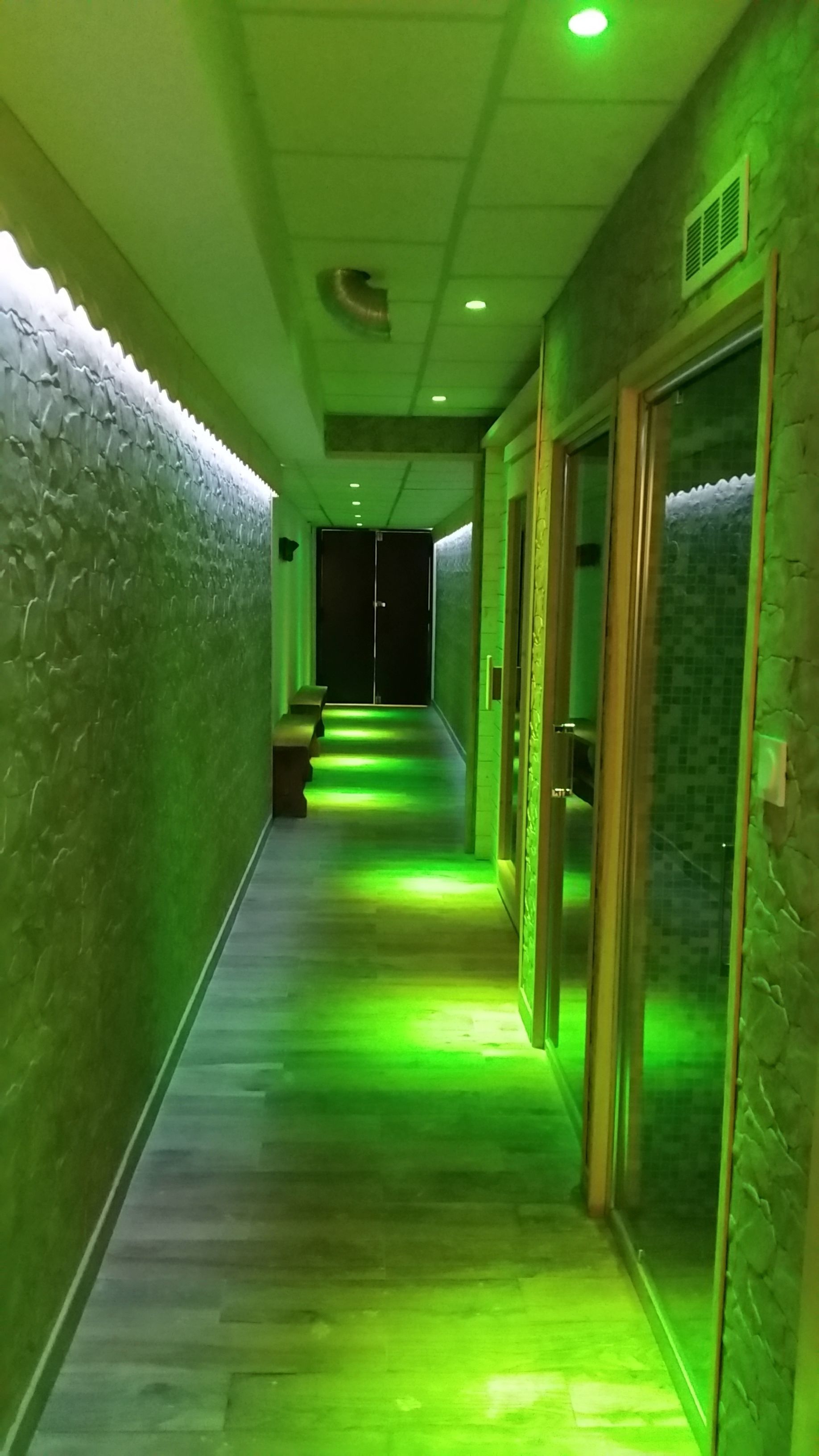 Sauna, massage/treatment rooms