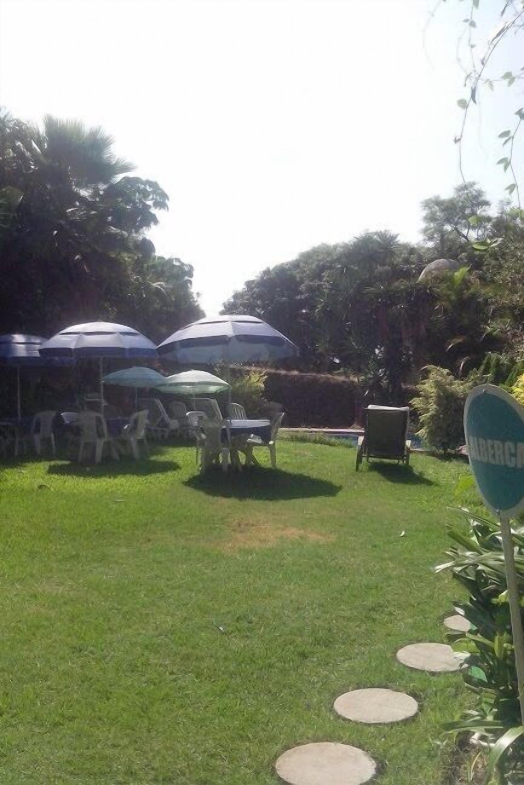Un área al aire libre con césped, varias sombrillas y sillas, que sugiere un patio o jardín.