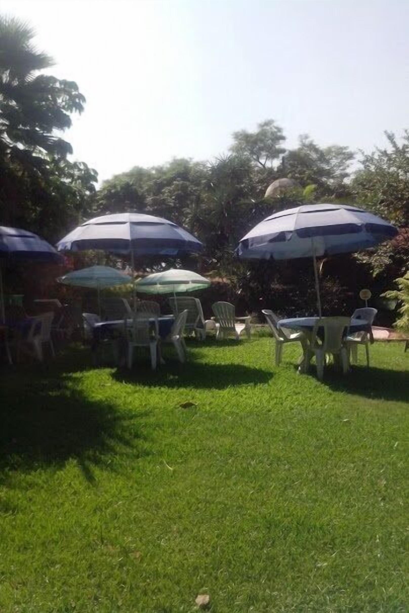 An outdoor seating area with tables and chairs under umbrellas, surrounded by trees.