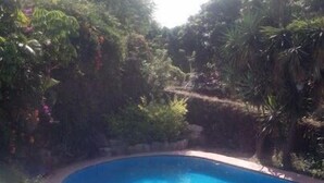 Una piscina rodeada de exuberante vegetación.