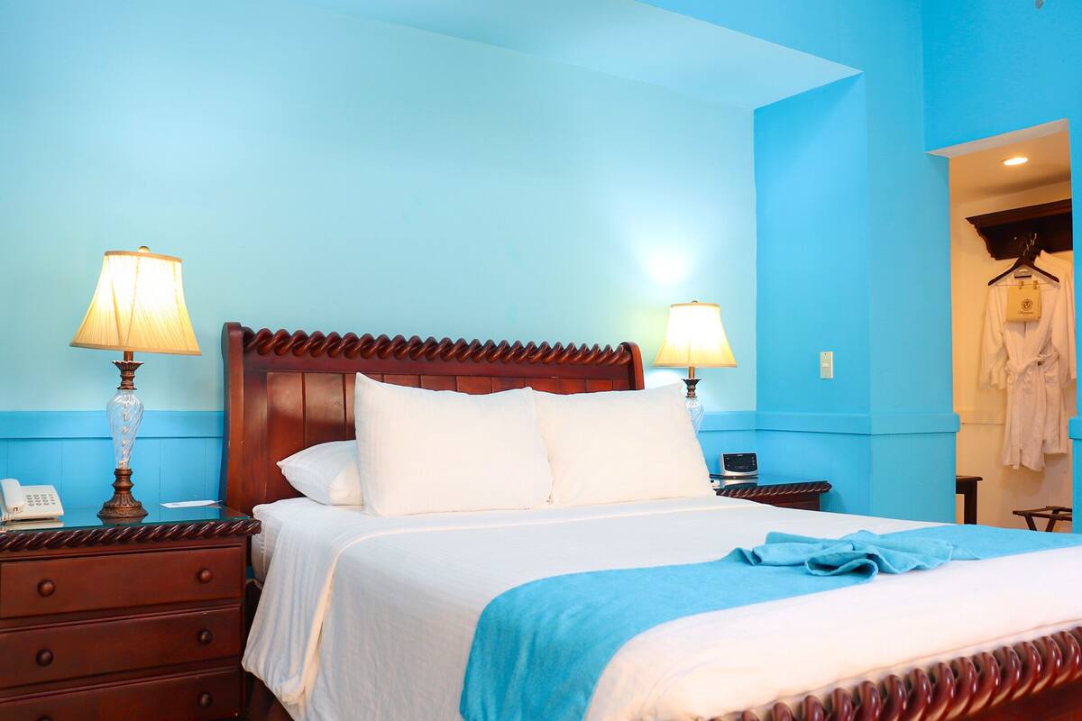 Standard Room, 1 Katil Ratu (Queen) | Peralatan tempat tidur premium, gebar bulu kapas, bar mini 
